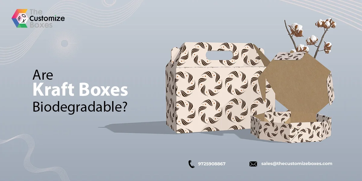 Biodegradable Kraft Boxes